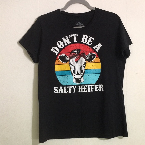 Lost Creek Outfitters Tops - Lost Creek Outfitters ‘Don’t Be A Salty Heifer’ Humor Tee: Size L
